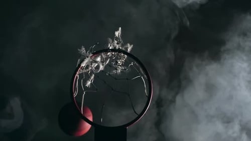 Dunk Shot