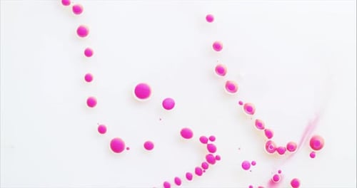Art, Backgrounds Textures. Abstract Macro Video of Colored Bubbles.