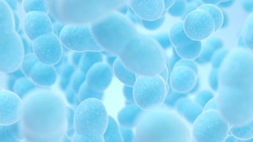 Large groups of germs with blue background
