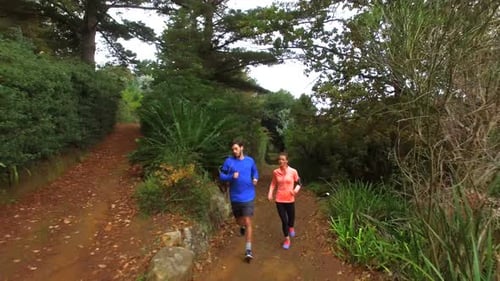 Couple jogging on forest path