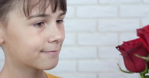 Child Smelling Bouquet of Red Roses Close Up