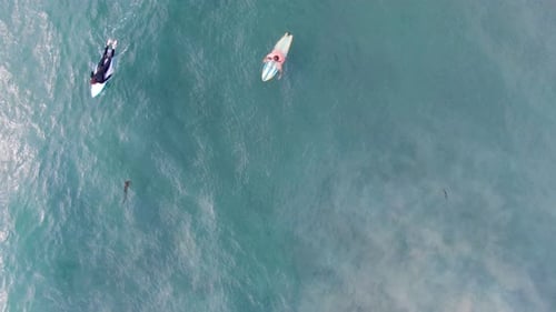 Aerial Top View of Surfers Waiting, Paddling and Enjoying Waves