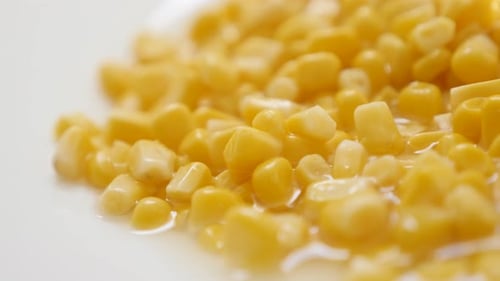 Close up of bright yellow corn kernels