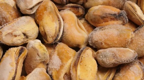 Raw Frozen Mussels