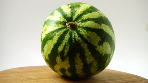 Pastèque 2