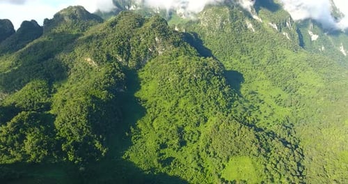 Aerial View of Mountain and Forest