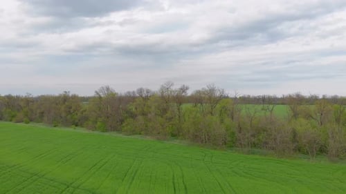 Grüne Wiese und Stadt
