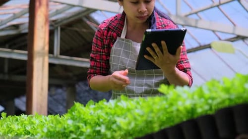 Woman Farmer Uses Tablet in Greenhouse
