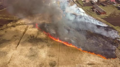 Aerial view of a field with dry grass set on fire with orange flames and high column of smoke.