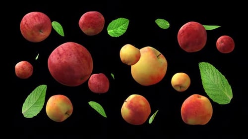 Seamless Loop of Falling Apples and Fresh Mint Leaves