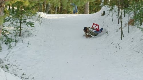 Young Woman and Boy Crashing on Sled