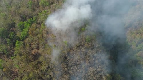 Forest Fire in the Mountains