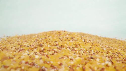 Pile of Corn and Chia Seeds Mix on White Surface of Studio
