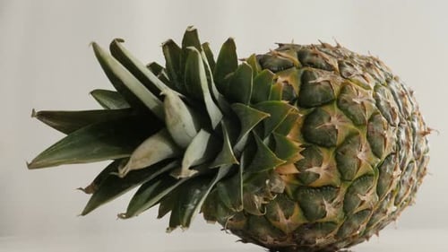 Details of laid down pineapple close-up 4K 2160p 30fps UltraHD tilting footage - Slow tilt on Anan