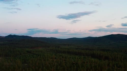 Beautiful Scenery From Above with Pine Trees Mountain Range and Clear Skies