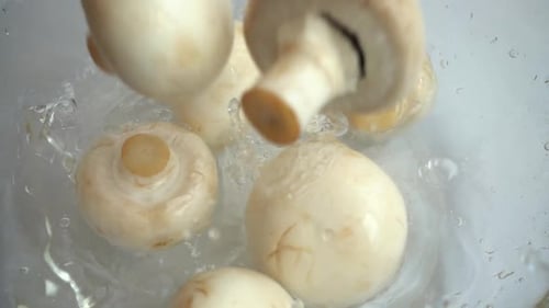 Cogumelos Agaricus caindo em uma tigela de vidro com água. Câmera lenta.