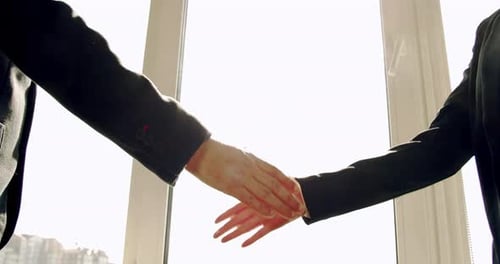 Two Business People Handshake in Bright Office