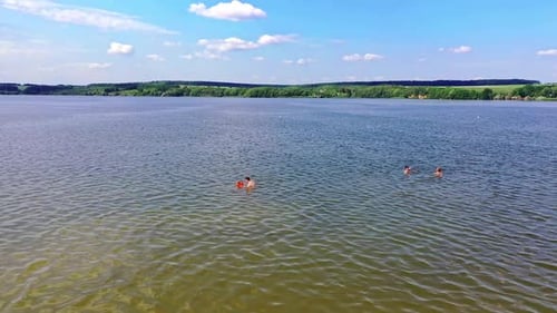 Aerial flying over river. Aerial drone view of river landscape