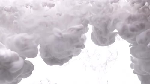 Billowing White Plumes on a Bright White Backdrop