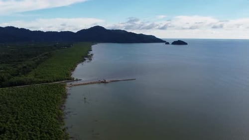 Aerial view mangrove forest