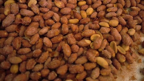 Roasted Salted Peanuts