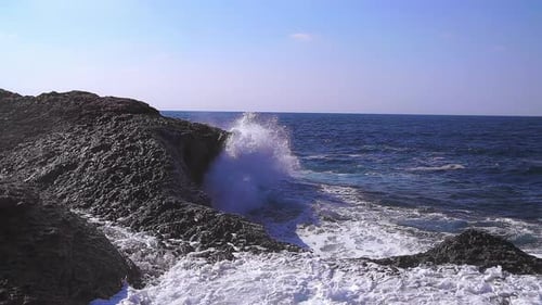 Sea