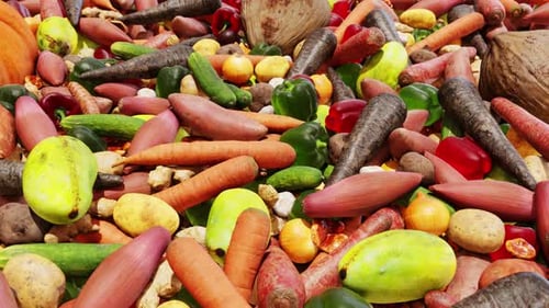 Vegetable Industry Market 01 4K