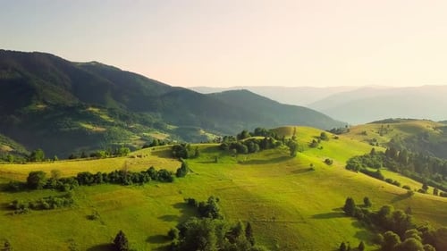 Aerial View of the Endless Lush Pastures of the Carpathian Expanses and Agricultural Land