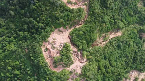 Luftaufnahme: Entwaldung von oben nach unten
