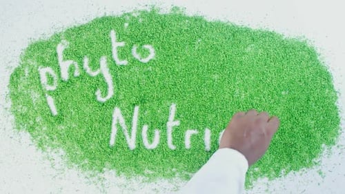 Green Writing Phyto Nutrients