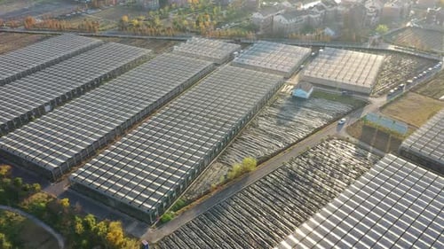 Aerial View of Greenhouses in Rural Landscape