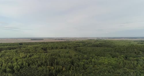 Aerial View of Agricultural Fields and Forest