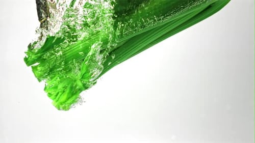 Super Slow Motion Fresh Celery Falls Under the Water with Air Bubbles