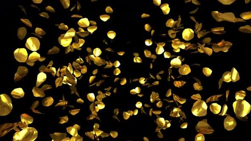 Golden Confetti