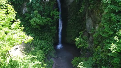 Flowing waterfall and green trees in the forest.