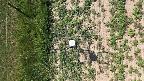 Drone Use in Agriculture. Aerial View of Aircraft Inspecting Farming Field