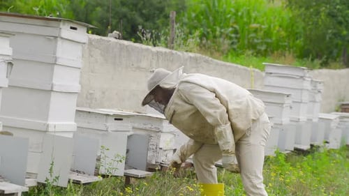 Beekeeper working on beehives.