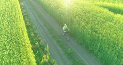 Aerial View on Young Boy That Rides a Bicycle Thru a Wheat Grass Field on the Old Rural Road