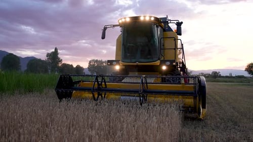 Combine Harvester Working in Field at Sunset