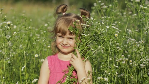 Little Blonde Child Girl in Pink Dress Stay on Flower Chamomile Grass Meadow. Bouquet of Daisies