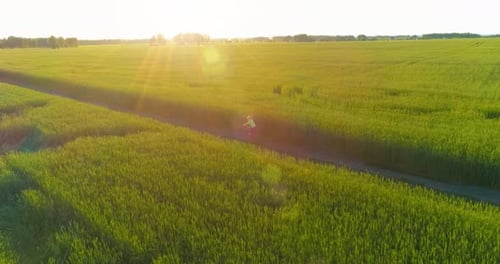 Luftaufnahme eines Jungen, der mit dem Fahrrad durch ein Weizengrasfeld auf der alten Landstraße fährt