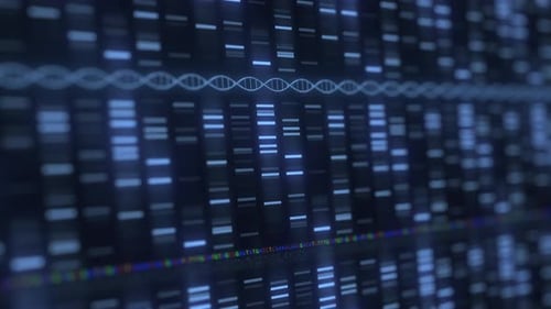 Futuristic DNA Genetic Data Analysis Background Animation
