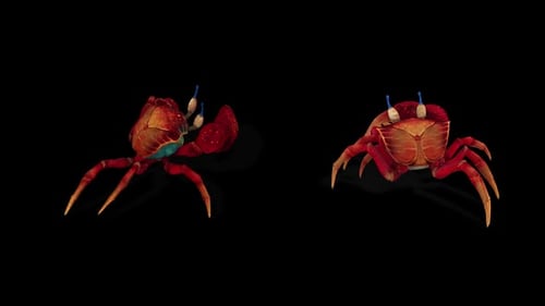 Crab Walk