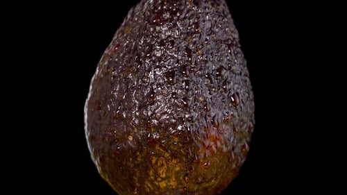 Wet and Shiny Avocado Spins on Isolated Background