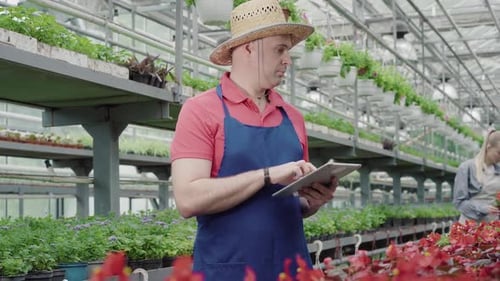 Middle Shot of Mid-adult Man Typing on Tablet As Young Woman Checking Plants at the Background
