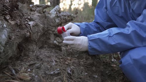 Scientist Collecting Soil Samples in Forest