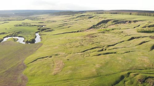 Spring hills
