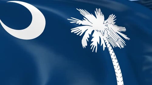 Realistic Waving South Carolina State Flag
