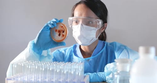 Person Examines Petri Dish in Laboratory