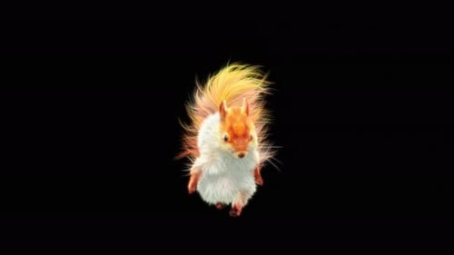 Cute Fluffy Glowing Squirrel Running and Jumping Animation